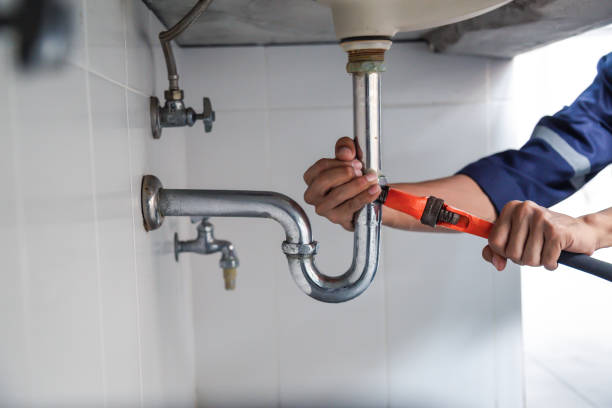 Best Plumbing Repair Near Me  in Norwood Young America, MN