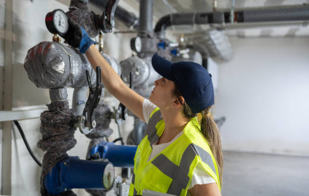Best 24-Hour Plumber Near Me  in Norwood Young America, MN