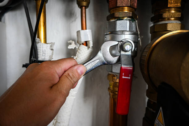Best Pipe Repair Near Me  in Norwood Young America, MN